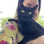Dot Green - @dot_green1 - Instagram