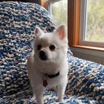 Dot Harris - @dot.harris.7965 - Instagram