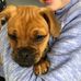 Dorothy Harrison - Facebook