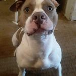DOT HARRISON - @dotwhatup - Instagram