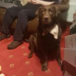Dot Harrison - @dot.harrison.165 - Instagram