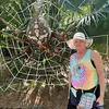 Dotti Harrison - @dottiharrison - TikTok