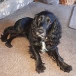 Dot Henderson Vaughan - @dothendersonvaughan - Instagram