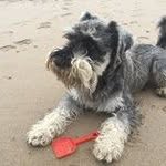 Dorothy Hewitt - @dotty_hewitt - Instagram