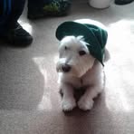 Dot Hewitt - Facebook