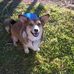 Dot Hicks - Facebook