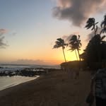 Dotti Hicks - @dottihicks5 - Instagram