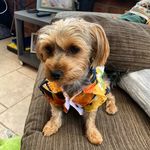 dothinson - @doth153 - Instagram