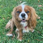 Dottie Hinson - @dottie.hinson - Instagram