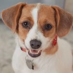 Dottie Mae Hinson - @dottiemaehinson - Instagram