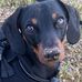 Dot Hood - Facebook