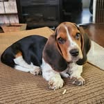 Dottie M. Horton - @dottie.m.horton - Instagram