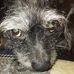 Dorothy Humphrey - Facebook
