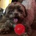 Dot Hurley Patey - Facebook
