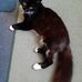 Dot Hines - Facebook