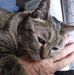 Dorothy Ingram - Facebook