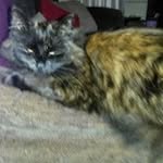 Dot Jackson - @dotty19471 - Instagram