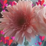 Dot Jackson - @dot_jackson_2 - Instagram