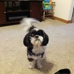 Dot Jackson Lonergan - @dotjacksonlonergan - Instagram