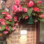 Dot Johnson - @dottyj74 - Instagram