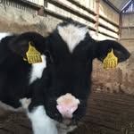 Dot - @dot.johnston - Instagram