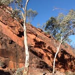 Dot Kelly - @dorrimoore - Instagram