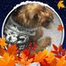 Dot Kelly - Facebook