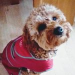 Dotkelly - @dotkelly - Instagram