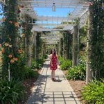 Hannah Dot Kelly - @hannahdotkelly - Instagram