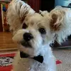 dotkirby - @dot.kirby - TikTok