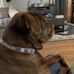 Dottie Kirby - Facebook