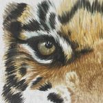 John Lawson - @johndotlawson - Instagram