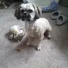 Dot Lee - @dot.lee36 - TikTok
