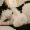 Dotlee - @dotlee.com - TikTok