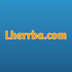 @lehrba.dot_com - Instagram