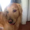 gdotlester - @griffin579 - TikTok