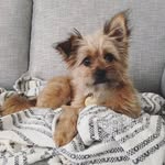 Stella - @stella.dot.lester - Instagram