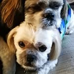 Dot Lewis - @dippy53dotty - Instagram