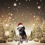 Doreen Lloyd - @dotmick1966 - Instagram