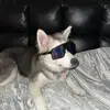 MaddenDots - @maddendots2 - TikTok