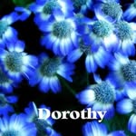 Dorothy Marshall - @dot_marshall - Instagram