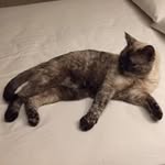 Dorothy Mason - @dotmasonht58 - Instagram