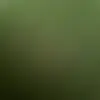 Mason - @mason.dots - TikTok