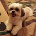 Dot Maxwell - Facebook
