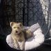 Dot Maxwell - Facebook
