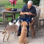 Dottie Firasek McBride - @dottiefirasek - Instagram