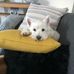 Dot Mccullough - Facebook