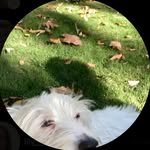 Dot Elizabeth McDonald - @dot__mcdonald - Instagram