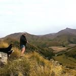 Dot McDonald - @stonewood_farm2017 - Instagram