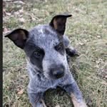 Dot.McDonald - @dot.mcdonal - Instagram